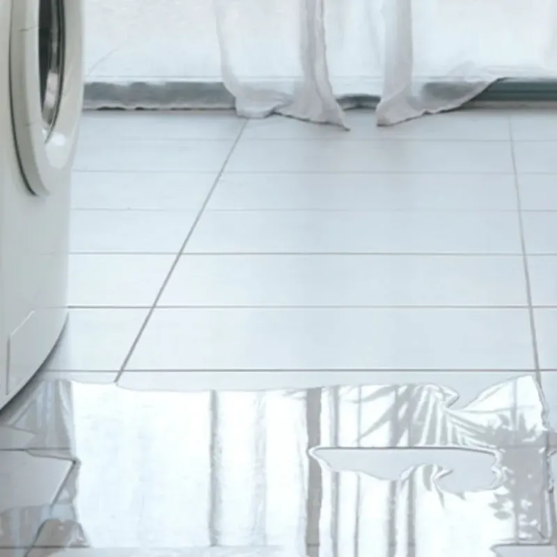 Appliance Leak Cleanup in Woodburn, VA