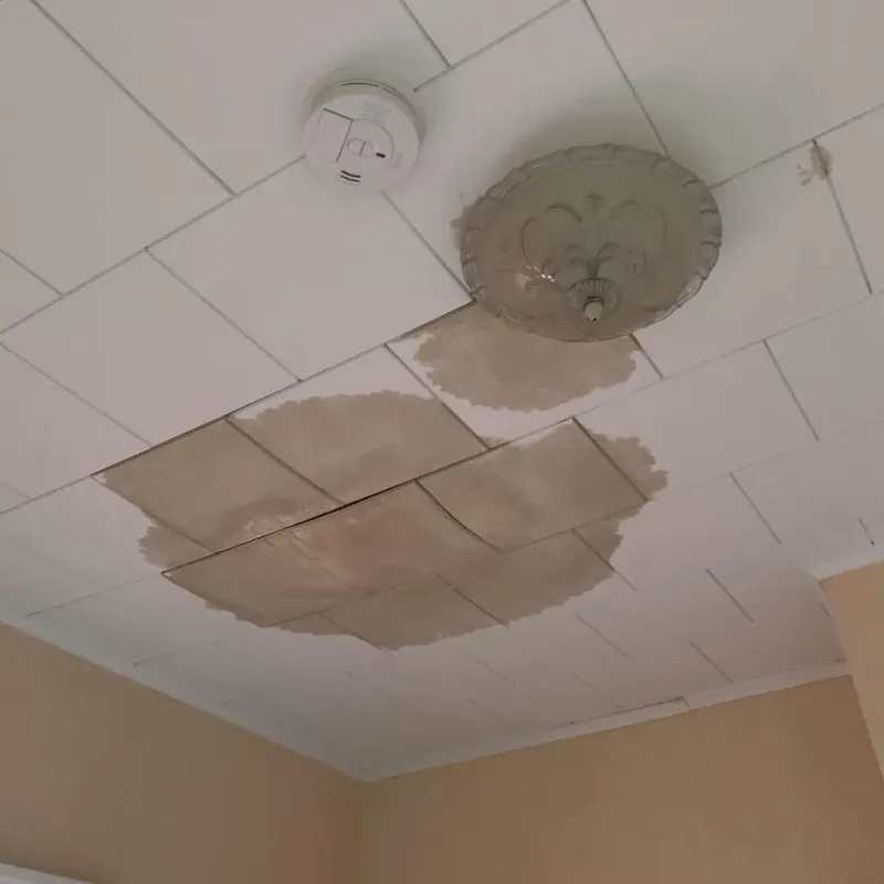 Ceiling Water Damage Repair in Woodburn, VA