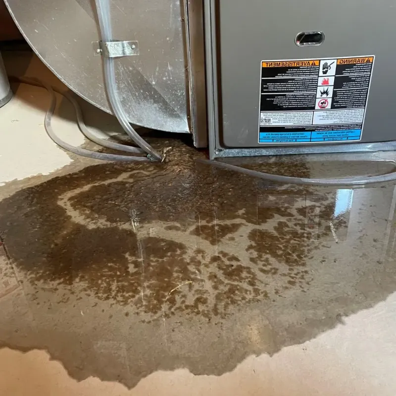 Pipe Burst and Leak Restoration in Woodburn, VA